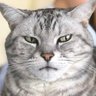 【イギリス】養子縁組する予定の生後13か月の赤ちゃんを男２人が性的暴行の末に殺害　加害者の一人は学校の教師